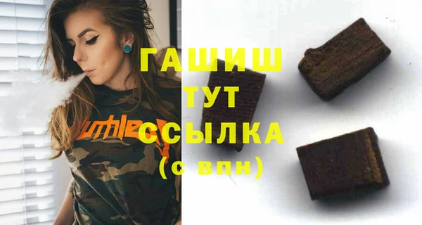 индика Болхов